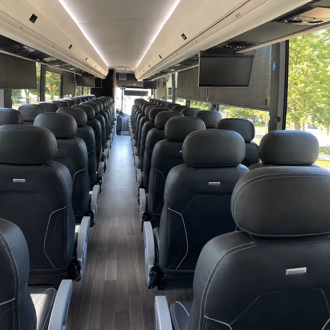 Las Cruces Corporate Transportation party bus interior