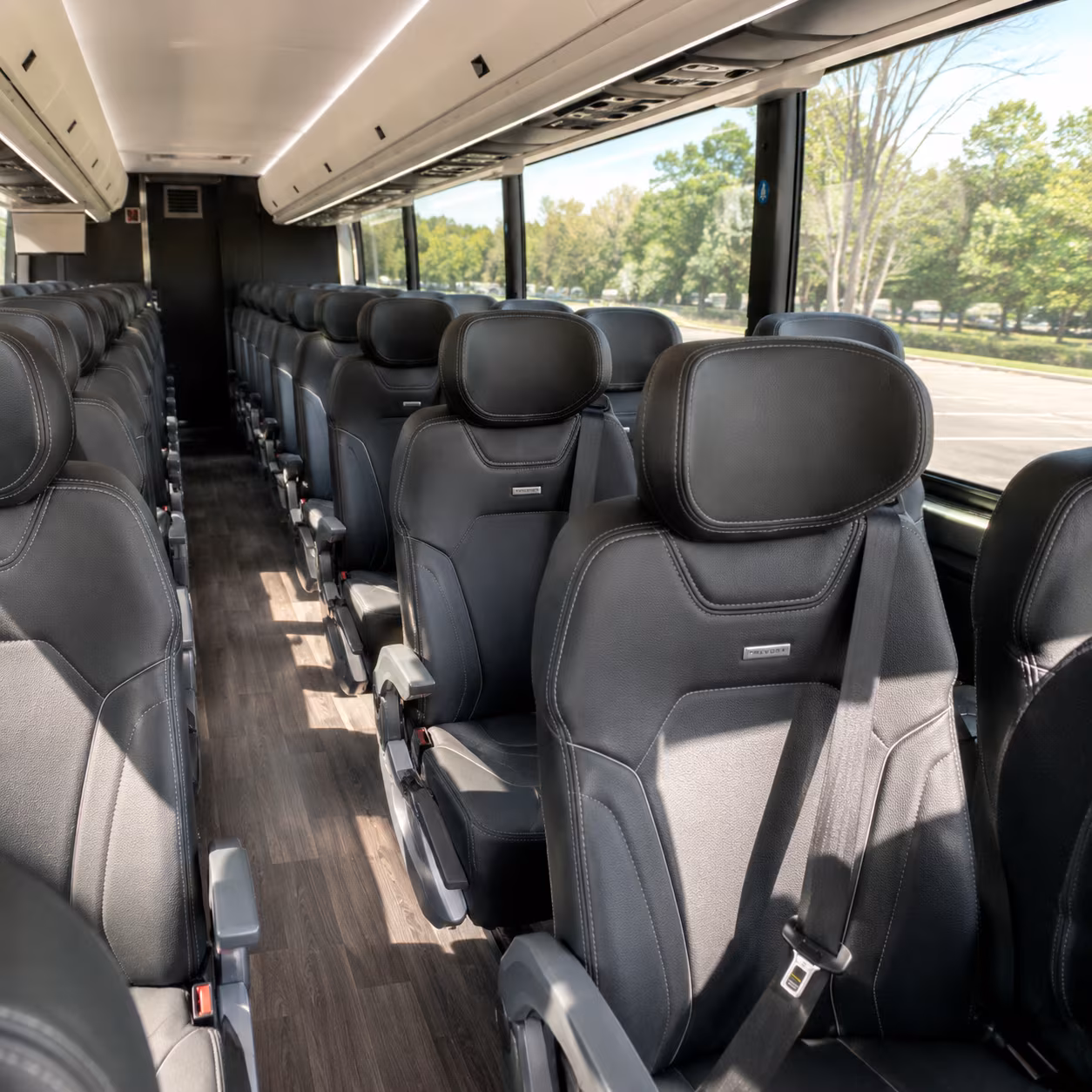 Las Cruces School Event Transportation party bus exterior